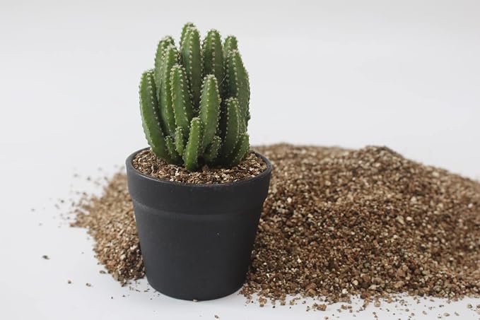 Vermiculite
