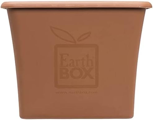 Terra Cotta