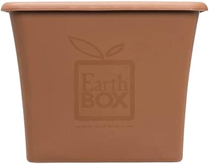 Terra Cotta