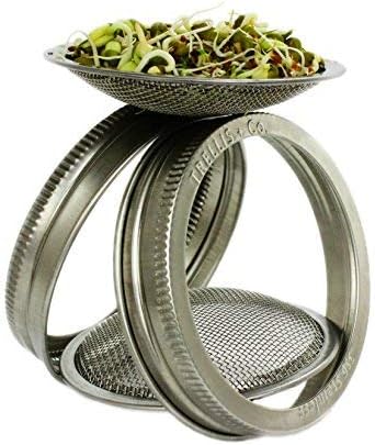 Sprouting Lids + Stands