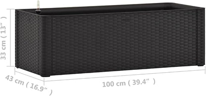 Anthracite
