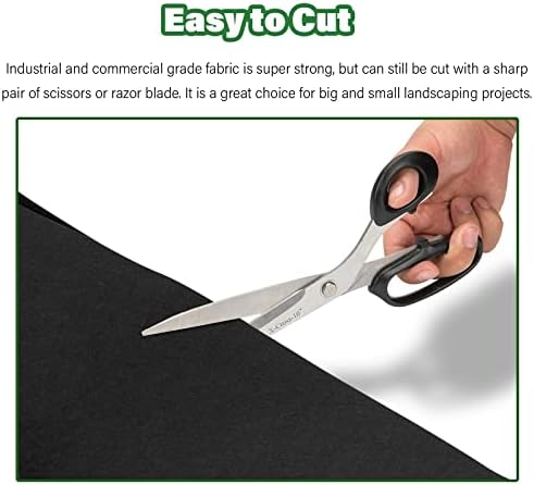 0.6mx5m/2ftx16.4ft