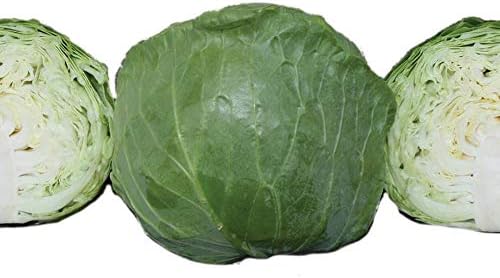 Katarina Hybrid