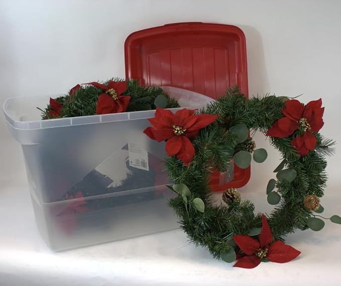 Clear with Red Lid