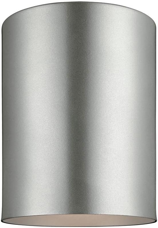 Painted Brushed Nickel