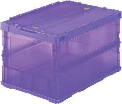 Transparent Purple