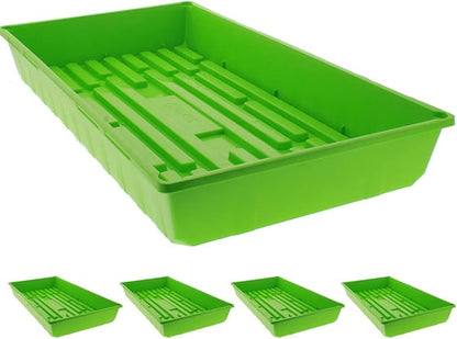 Lime Green 5 Pack