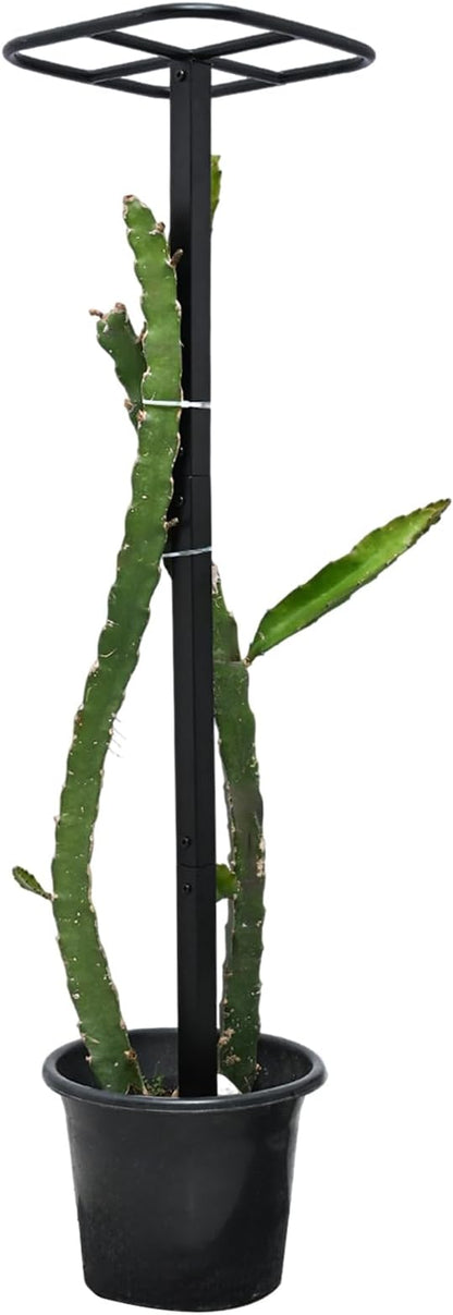 __DEFAULT__