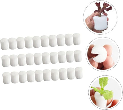 Whitex2pcs