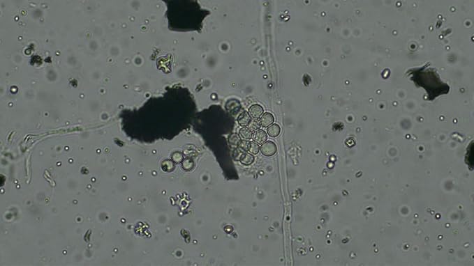 __DEFAULT__