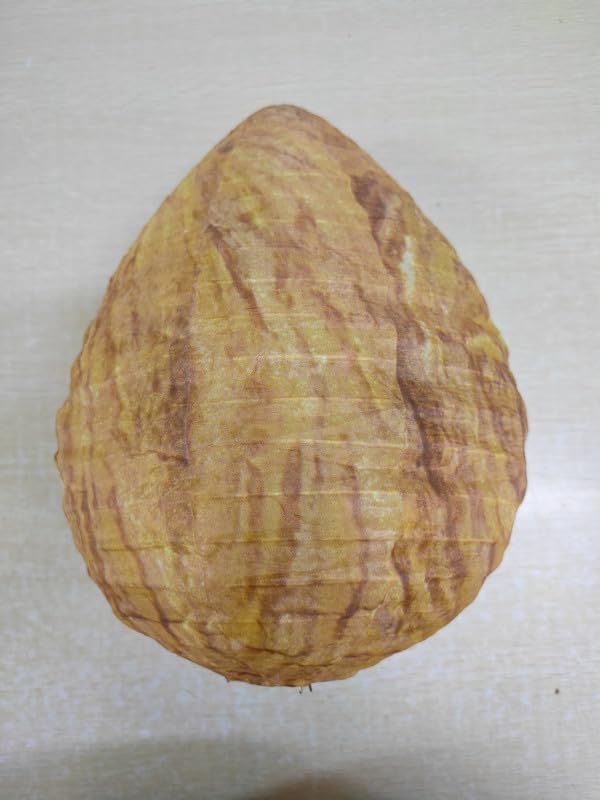 Sandy Brown