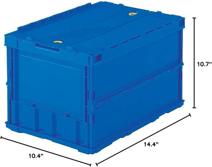 blue (dark)