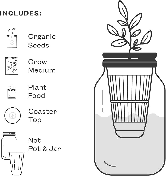 Basil + Mint + Parsley + Cilantro + Rosemary+ Lavender