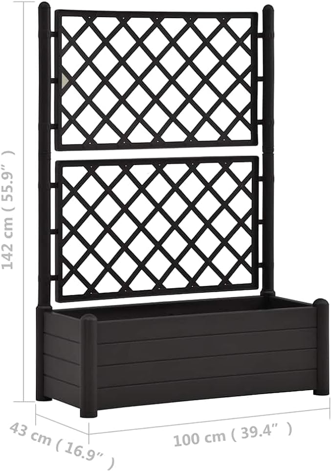 Anthracite