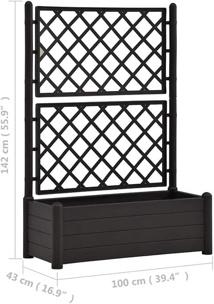 Anthracite