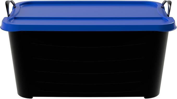 Black/Blue