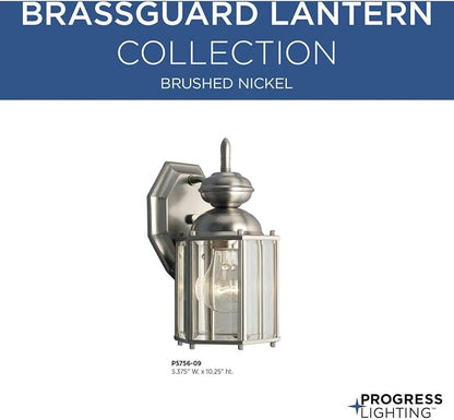 Brushed Nickel