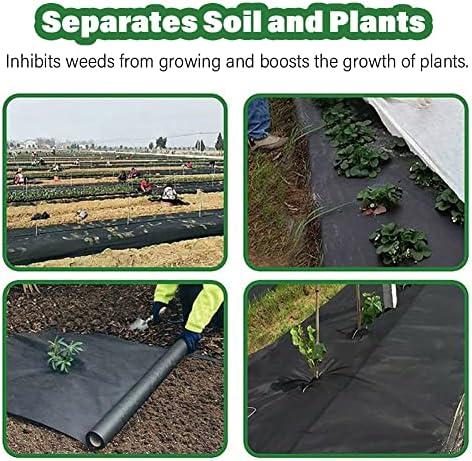 0.8mx5m/2.6ftx16.4ft