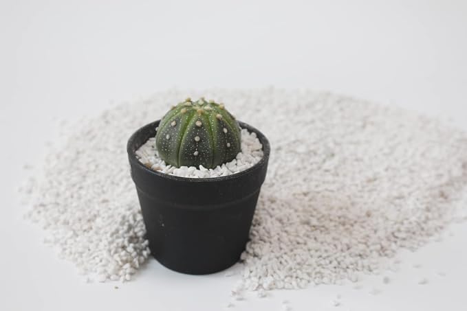 Perlite