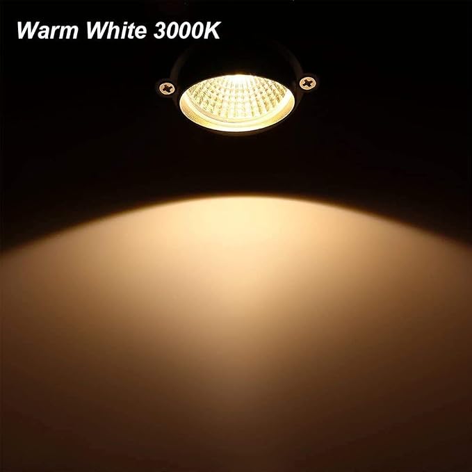 Warm White