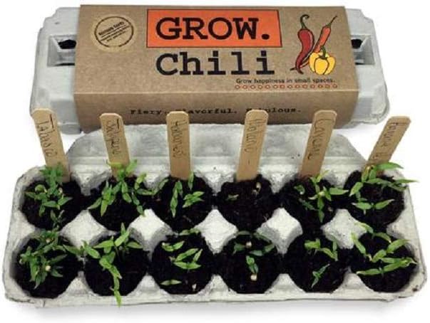 Chili