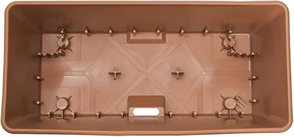 Terra Cotta