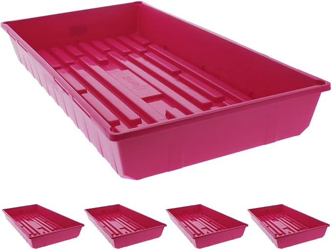 Cranberry 5 Pack