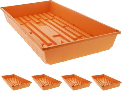 Orange 5 Pack