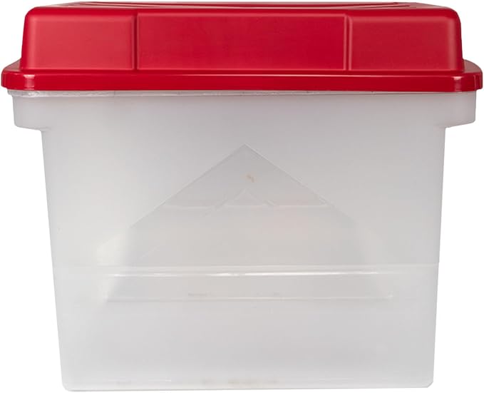 Clear with Red Lid