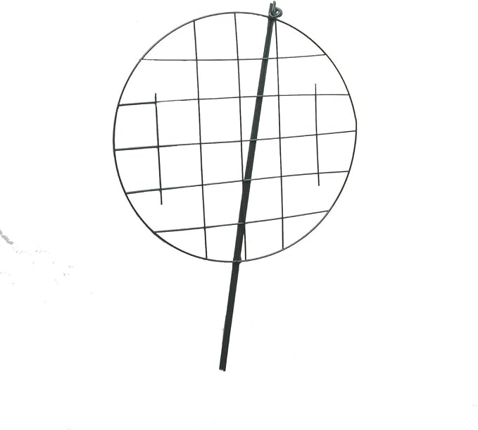 __DEFAULT__
