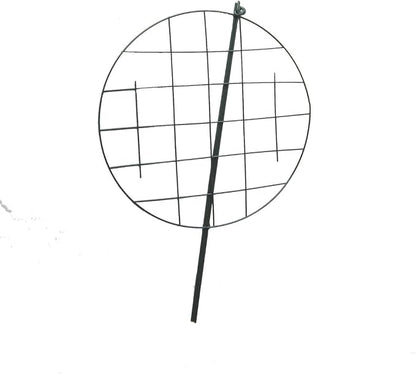 __DEFAULT__