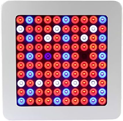 1pc