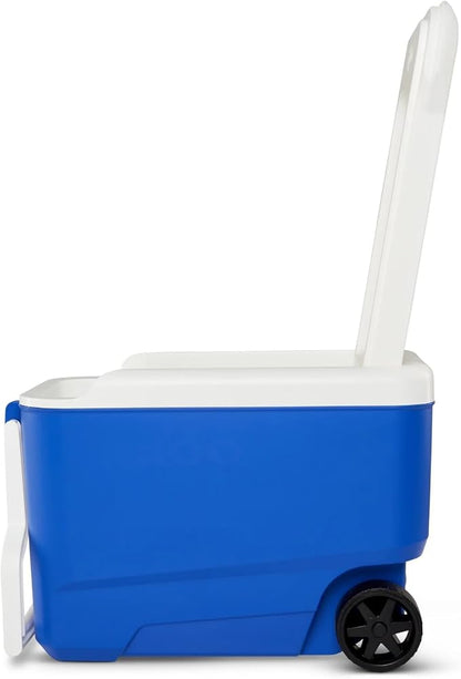 38qt