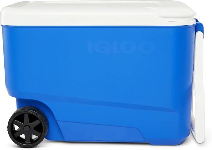 38qt
