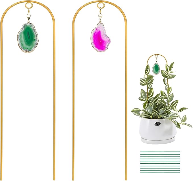 03-Green Rosered