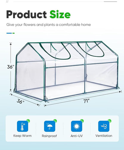 Clear