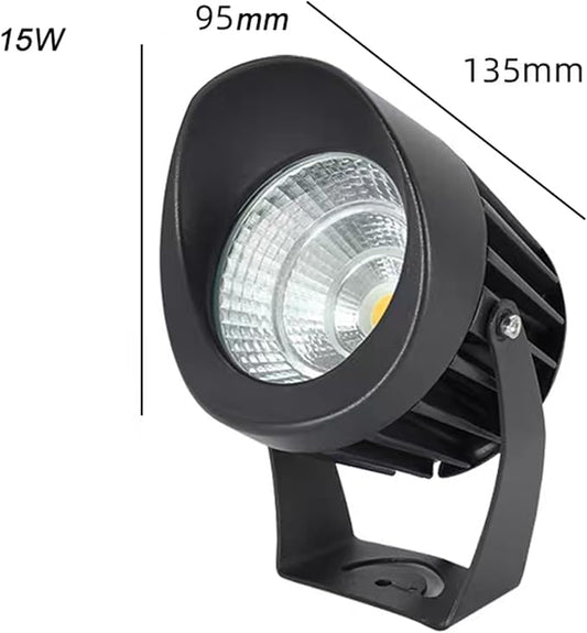 Cool White Light