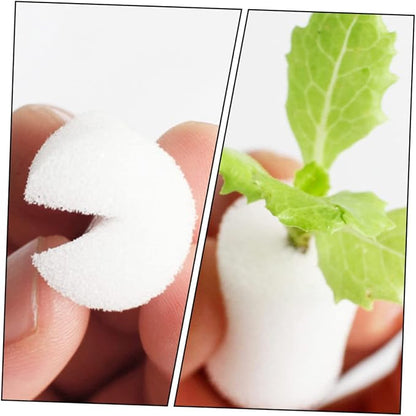 Whitex3pcs