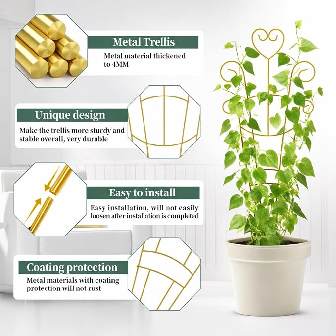 Golden-2pcs