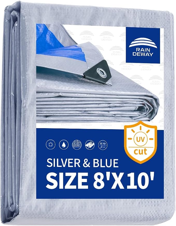 Silver/Blue