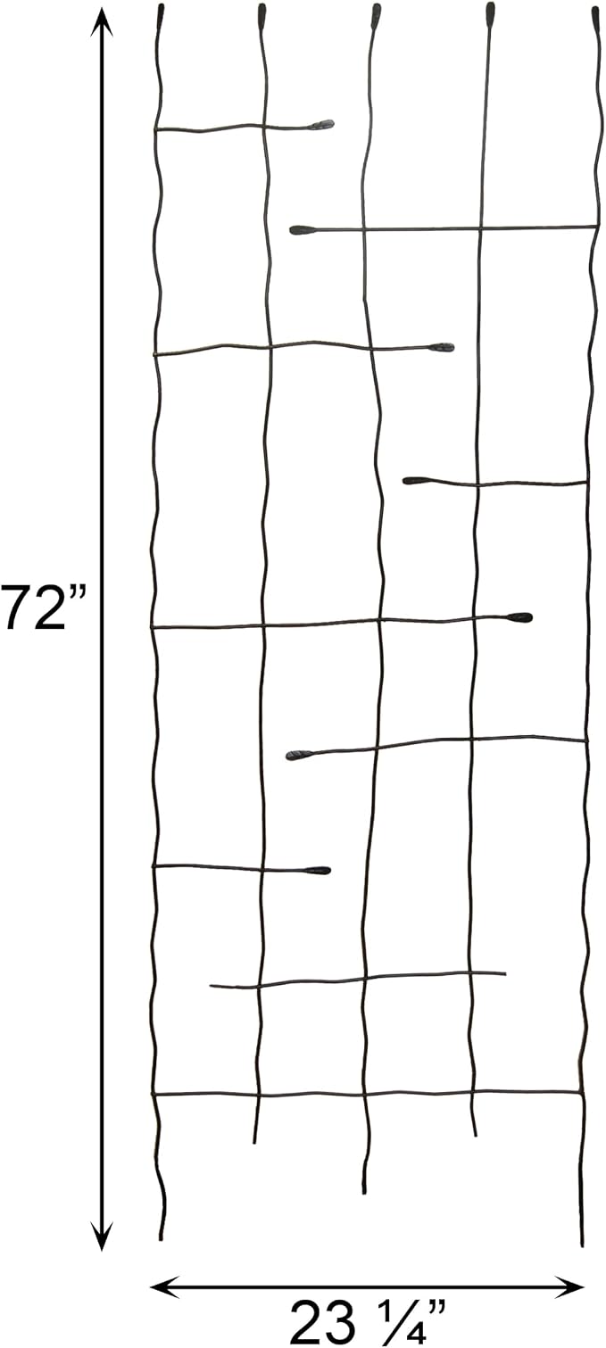 __DEFAULT__