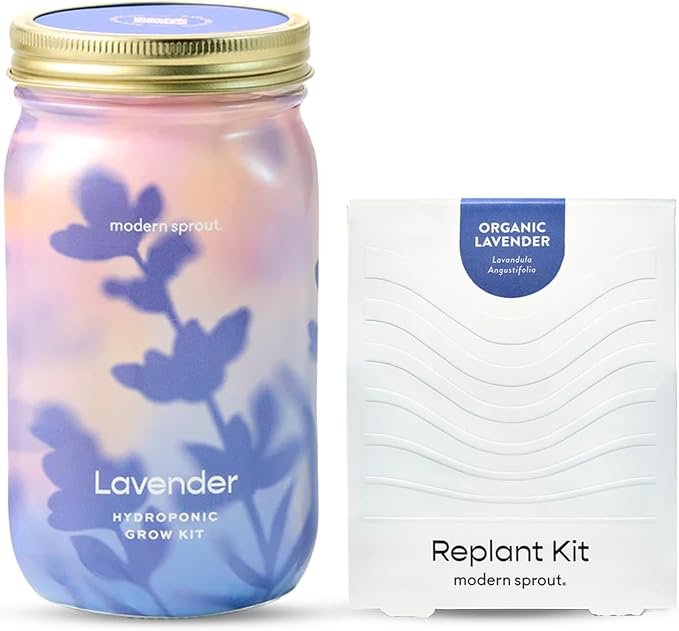 Lavender