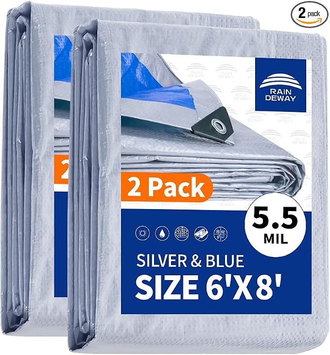 Silver/Blue