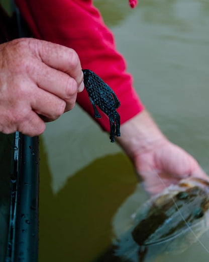 Galaxy Gill