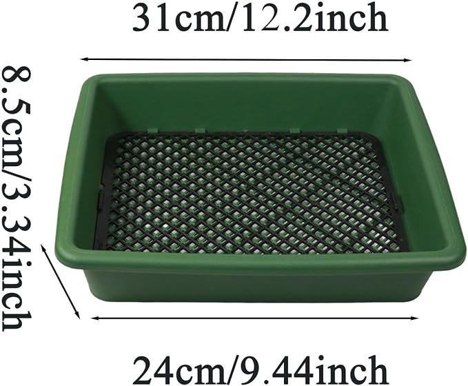 Square-Green