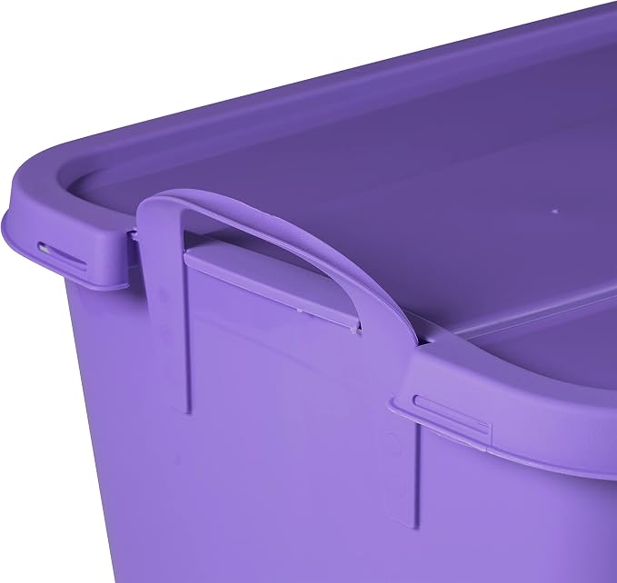 Solid Purple