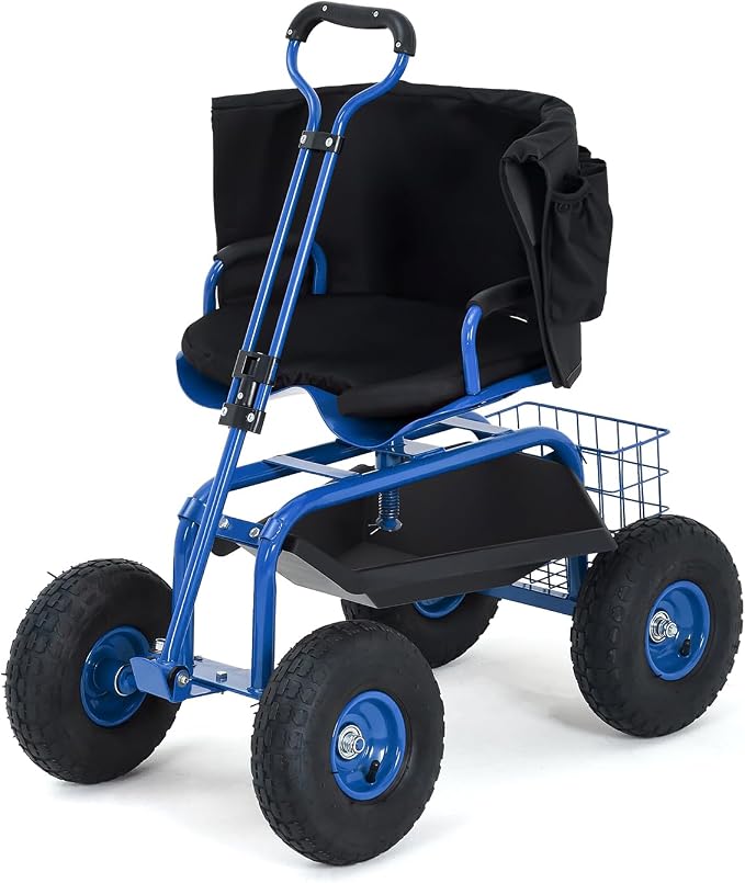 Blue With Back