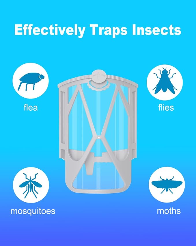 Transparent