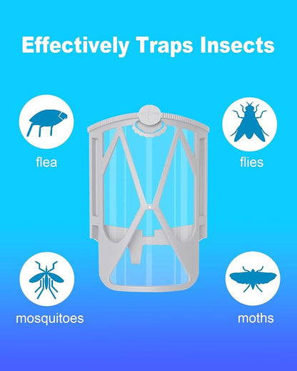 Transparent