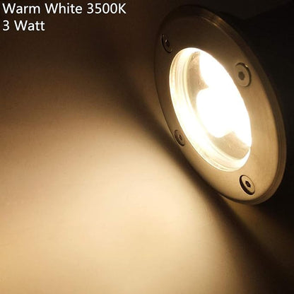 Warm White